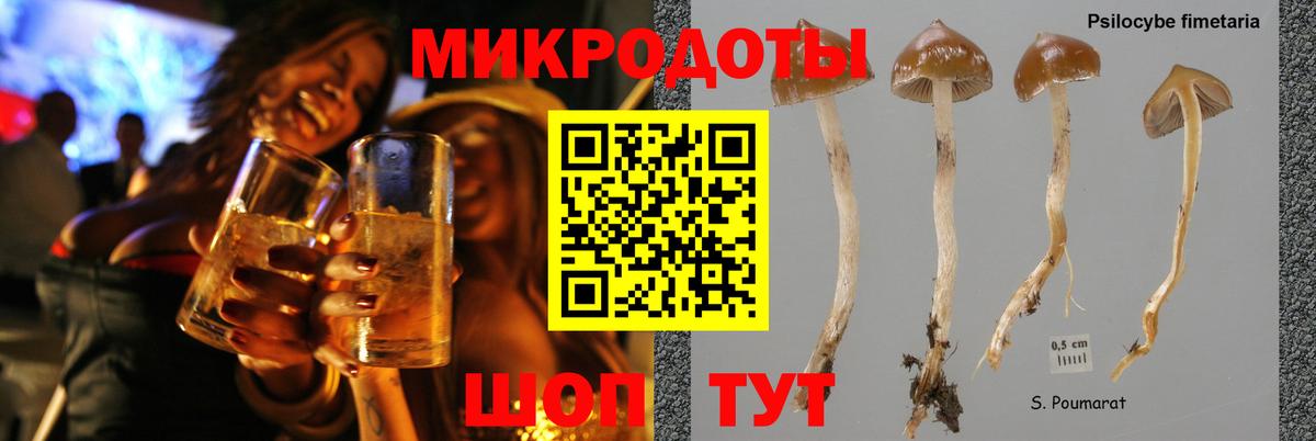 Галлюциногенные грибы прущие грибы  Вход с VPN  Балашиха 